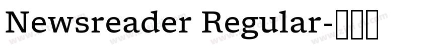 Newsreader Regular字体转换